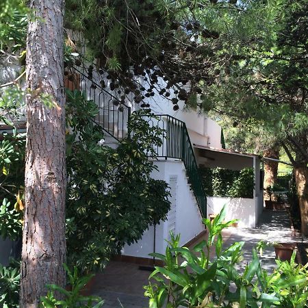 Villa Irene Vieste Exterior foto