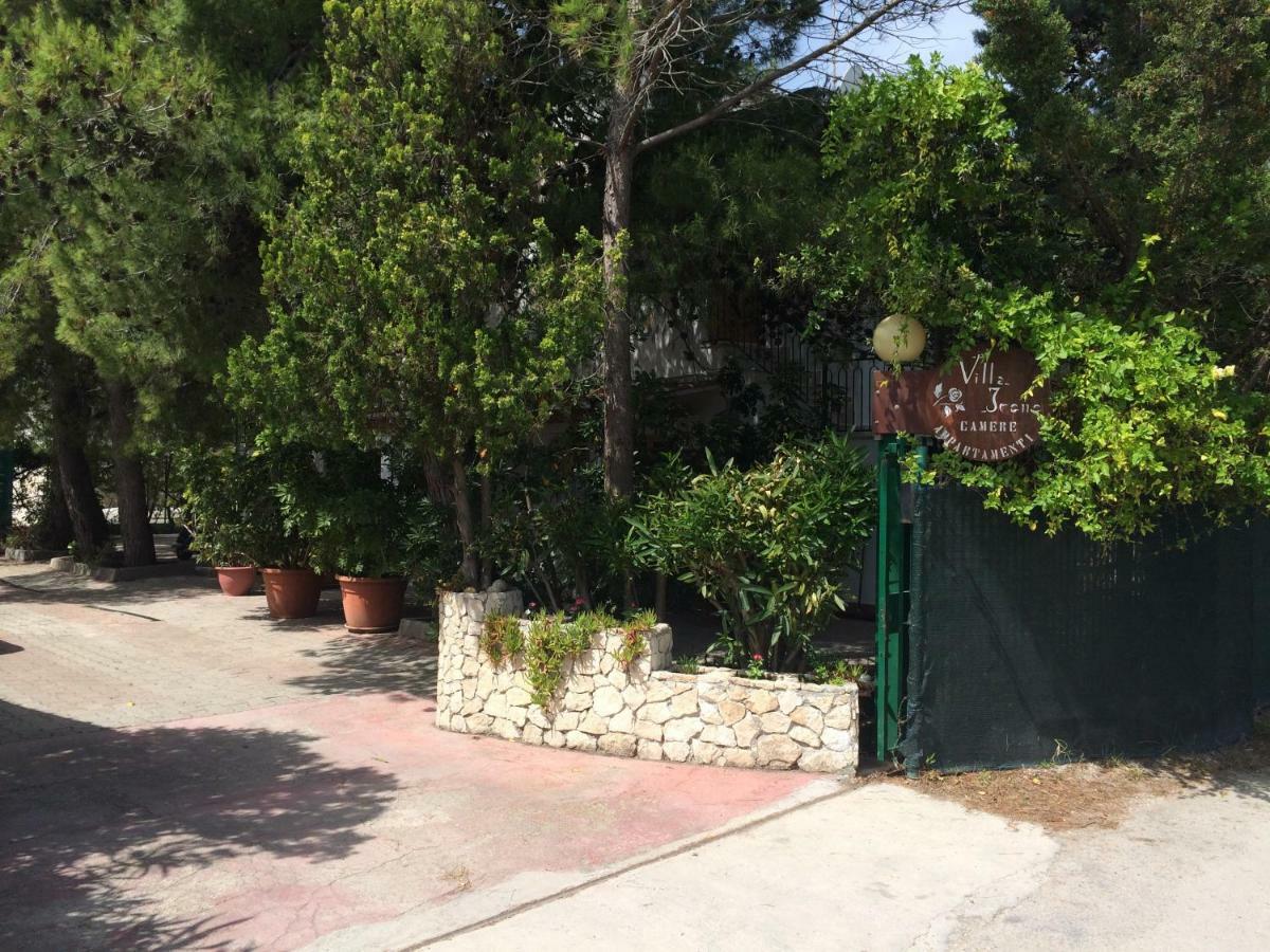 Villa Irene Vieste Exterior foto